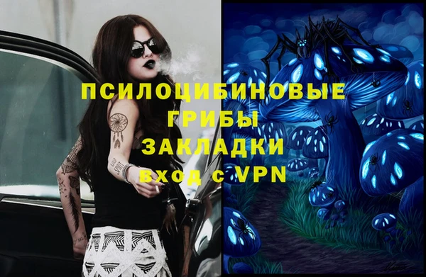 мдпв Богородицк