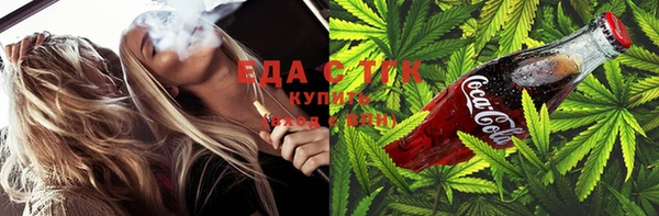 дмт Богородск