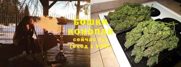 мдпв Богородицк