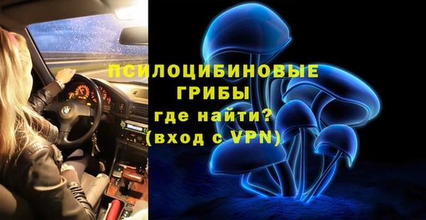 прущая мука Богданович