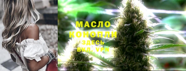 дмт Богородск