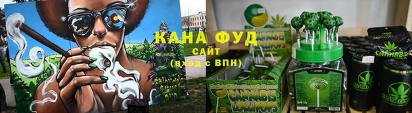 дмт Богородск